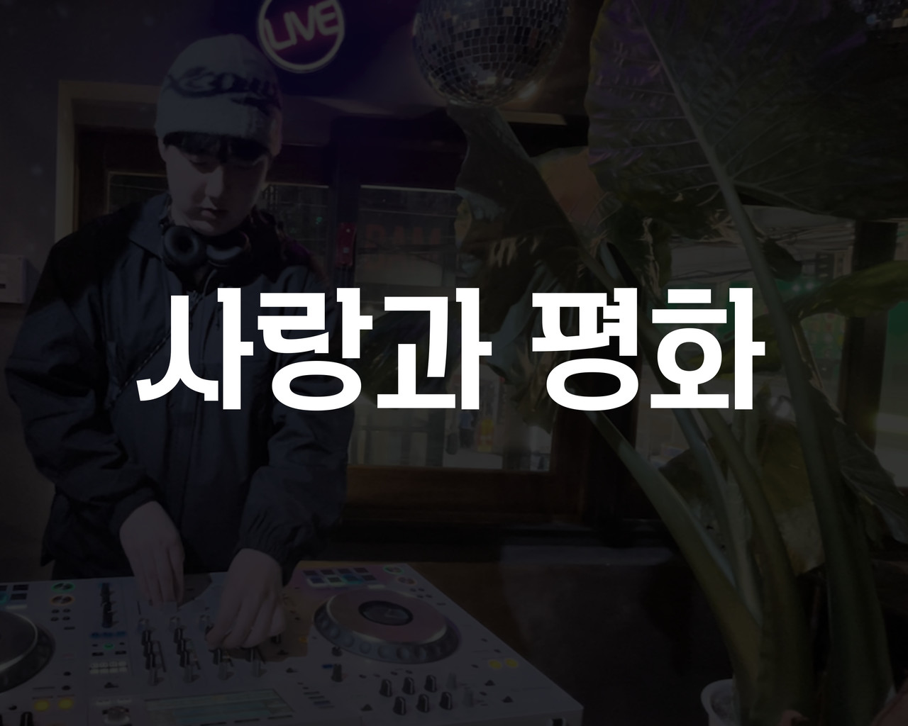 펍 사랑과 평화, 대구 교동