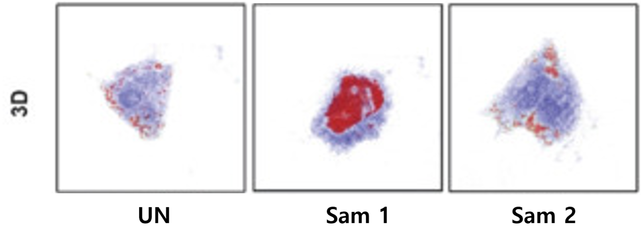 그림 1. Tomocube 3D 홀로토모그래피를 활용한 세포 내 지질 방울(lipid droplet) 3D 시각화 예시</br> Kim K, Baek S, Ko S, Moon S, Lee KP, Ahn S. A sport supplement candidate of Erigeron breviscapus extract regulates lipogenesis in vitro and in vivo. Phys Act Nutr. 2023 Dec;27(4):60-66. doi: 10.20463/pan.2023.0039. Epub 2023 Dec 31. PMID: 38297478; PMCID: PMC10844721.