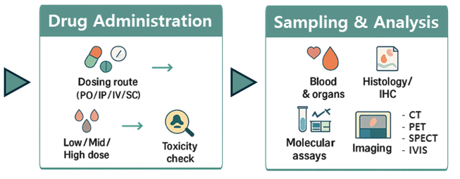 그림 2. Work Flow 이미지