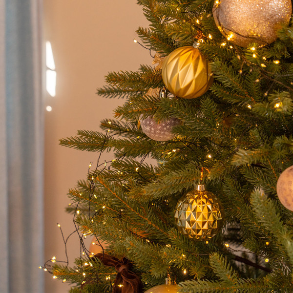 예약 상품 이미지