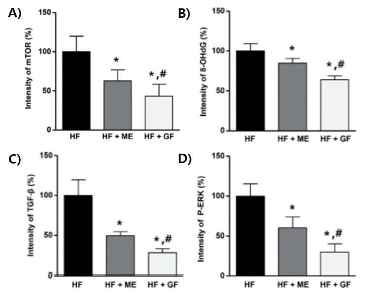그림 4. 고지방식이(HF) 유도 NAFLD 모델에서 특정 조직학·분자 표지자의 IHC 염색 및 발현 강도 정량 결과 예시