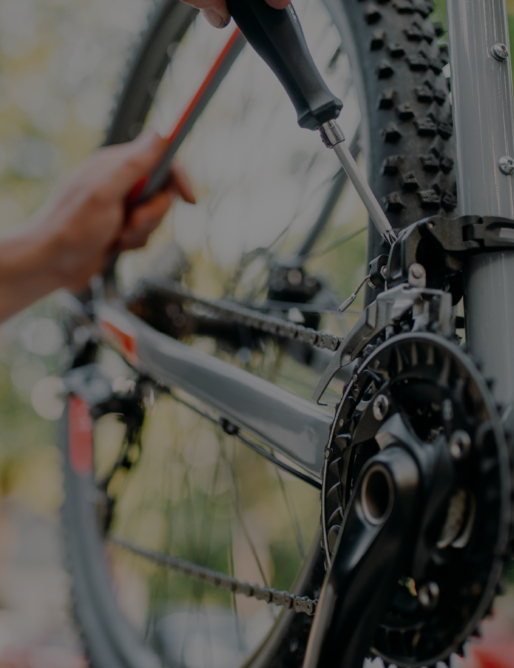 <span style="font-weight:700;">전문성</span><br><span style="font-size:14px !important;">Expertise</span>