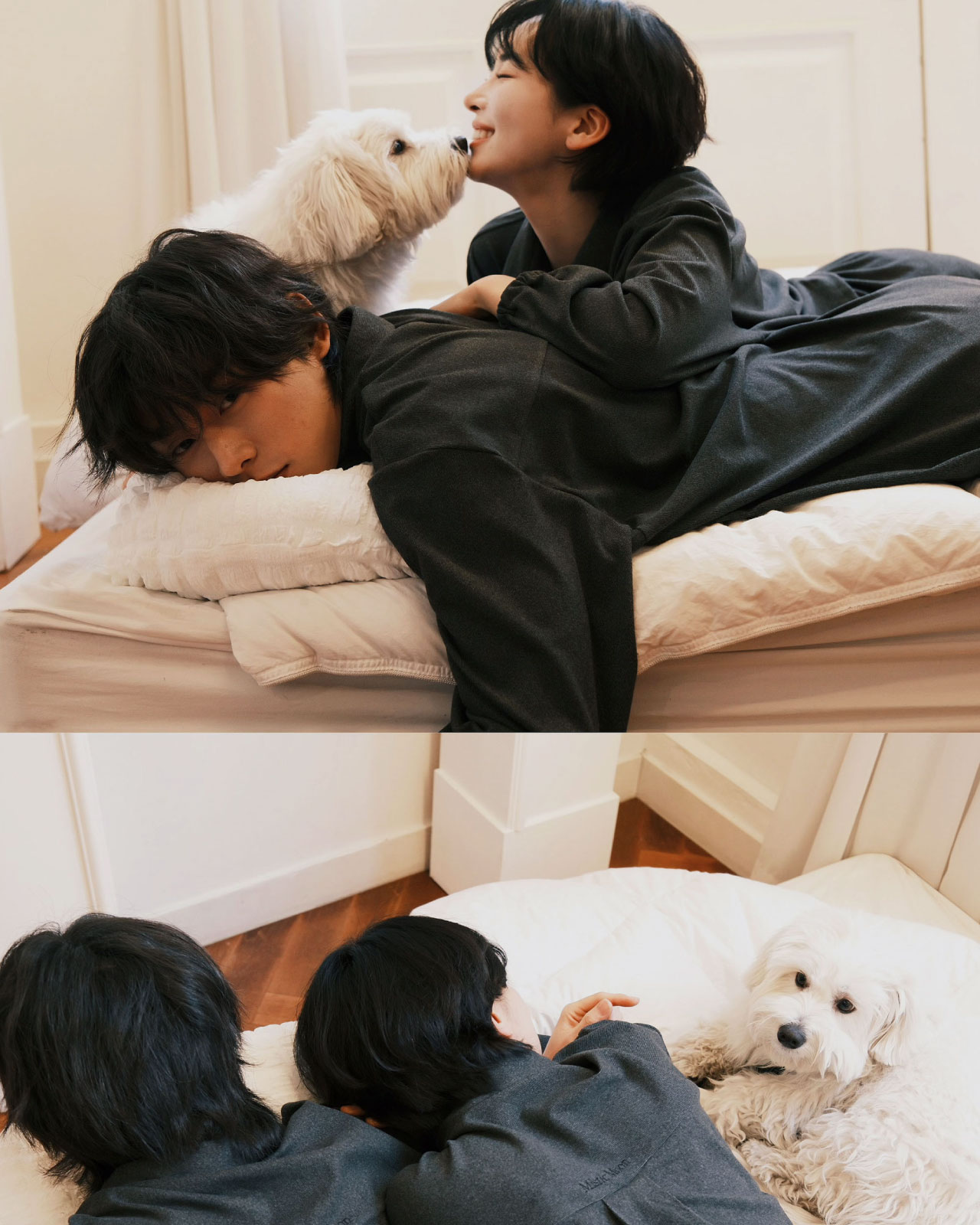 기획전 소개 이미지