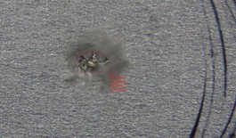 <b style="font-size:18px;">• 절연면 불량 이미지 </b><br><p style="font-size:14px;">실제 결함 사이즈 0.285mm × 0.166mm</p>