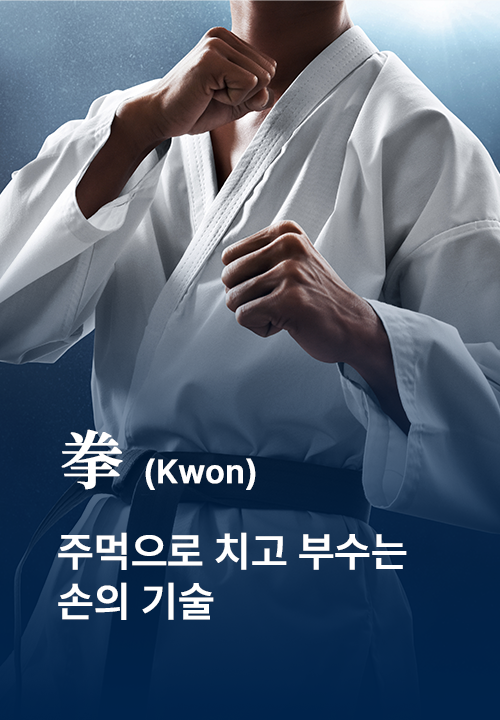 拳 권 주먹으로 치고 부수는 손의 기술