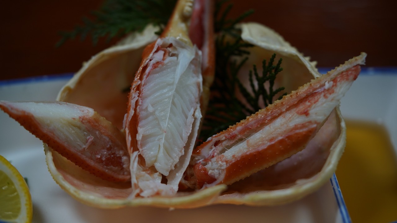 일본 홋카이도 겨울여행 테마여행 배상준 맥주인문학 트래블로드 북해도 겨울 3박4일