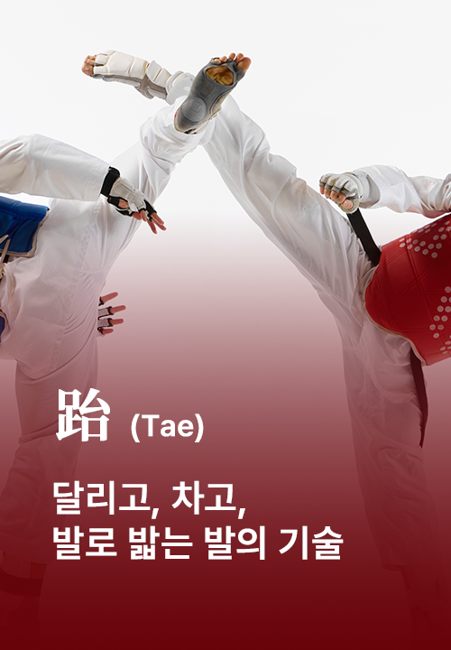 跆 태 달리고, 차고, 발로 밟는 발의 기술