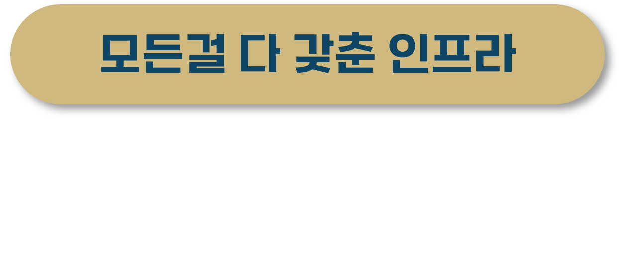 평택 브레인시티 한신더휴 인프라