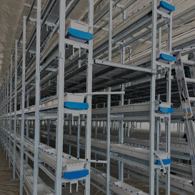 최대 6단의 혁신적 재배 방식