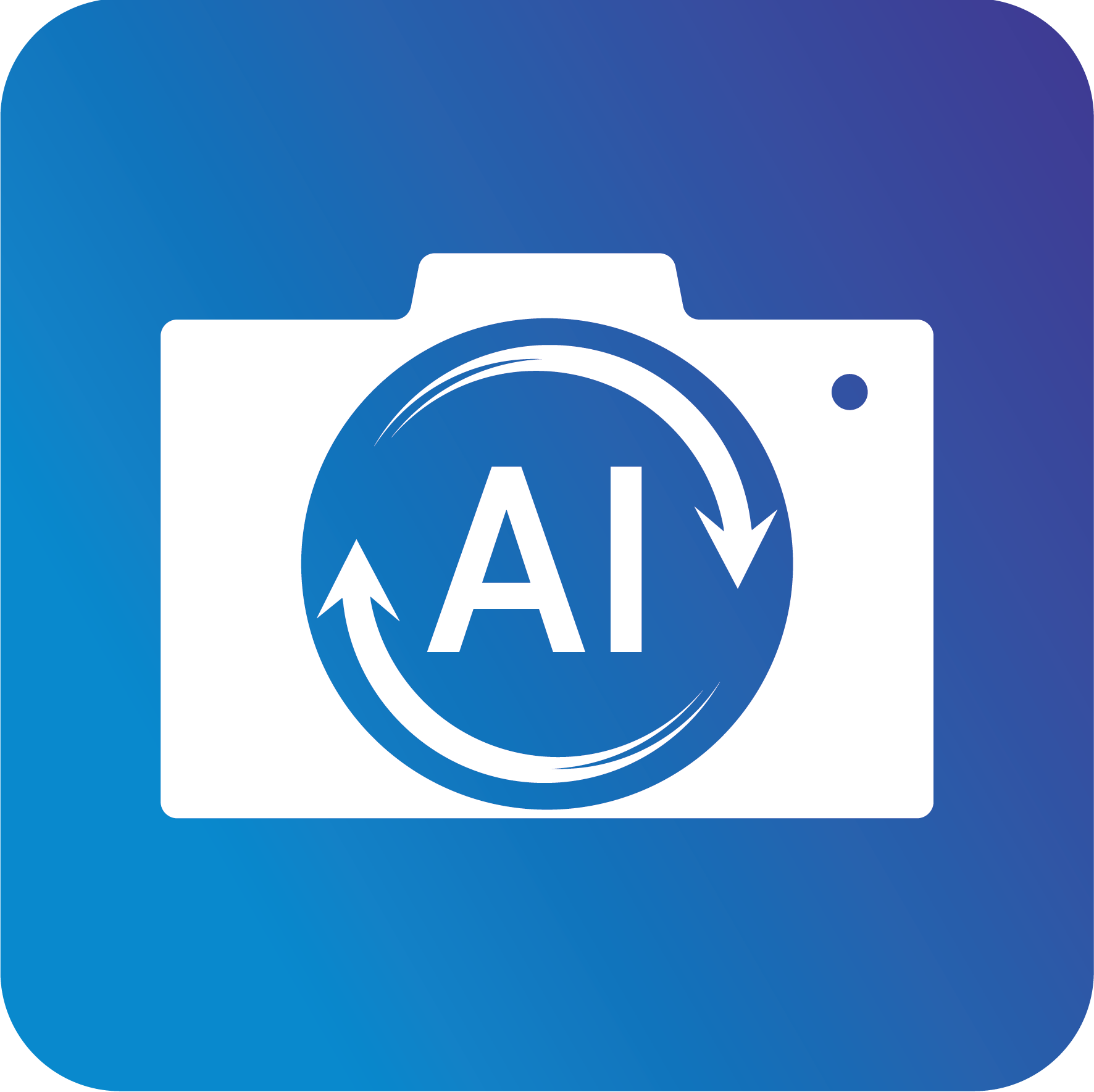 <b>Multi-Camera AI Auto Switching</b>