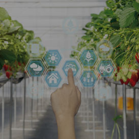 최첨단 기술 재배