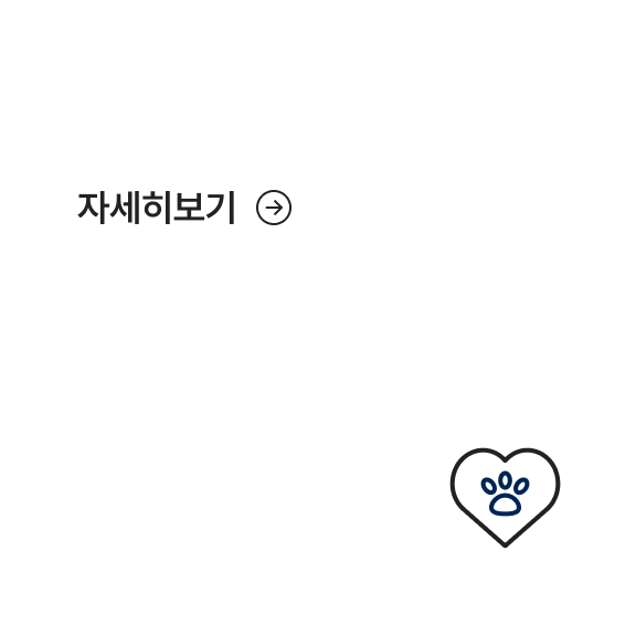 <h3 style="margin:0; padding-top:5px; line-height:1.2; font-size:25px; font-weight:700; letter-spacing:-0.25px; color:#222;">노령동물센터</h3>