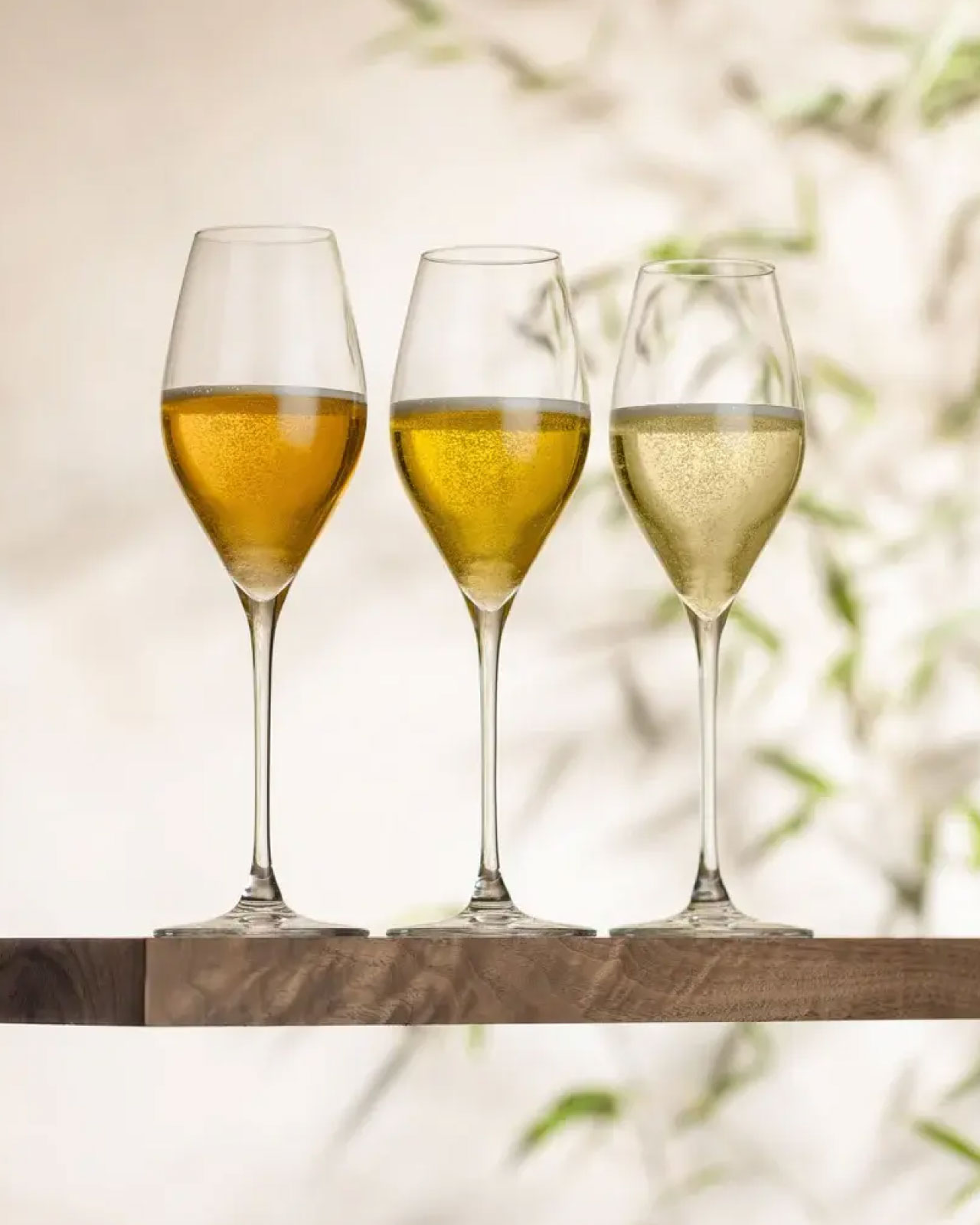 기획전 소개 이미지