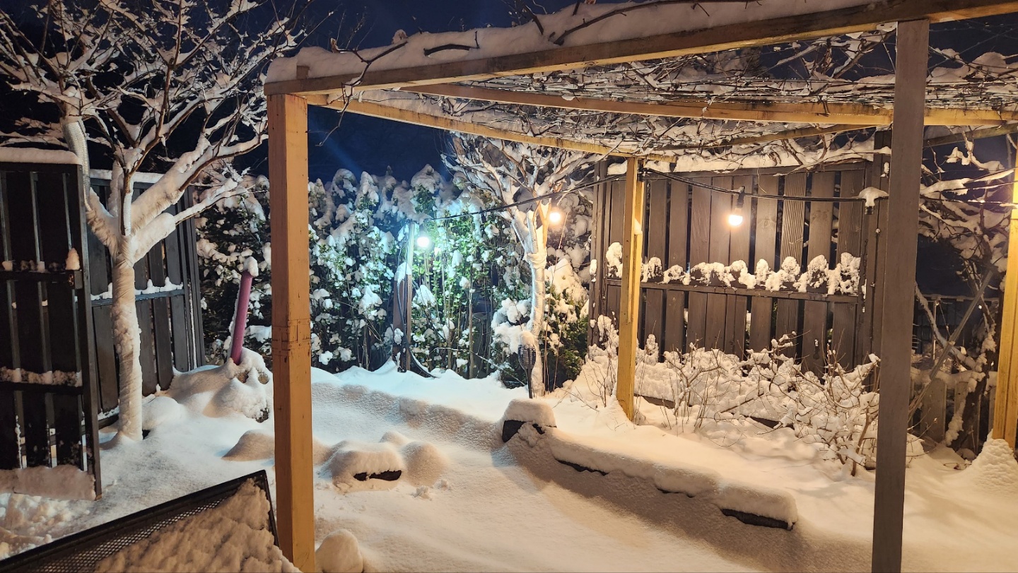 Landscape<br>온전한 삶의 회복을 위한  <br>생명을 담는 집