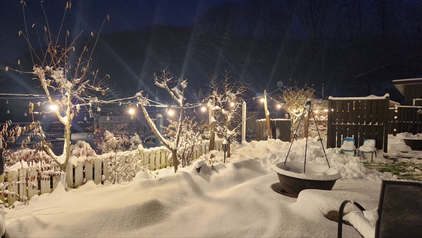 Landscape<br>온전한 삶의 회복을 위한  <br>생명을 담는 집