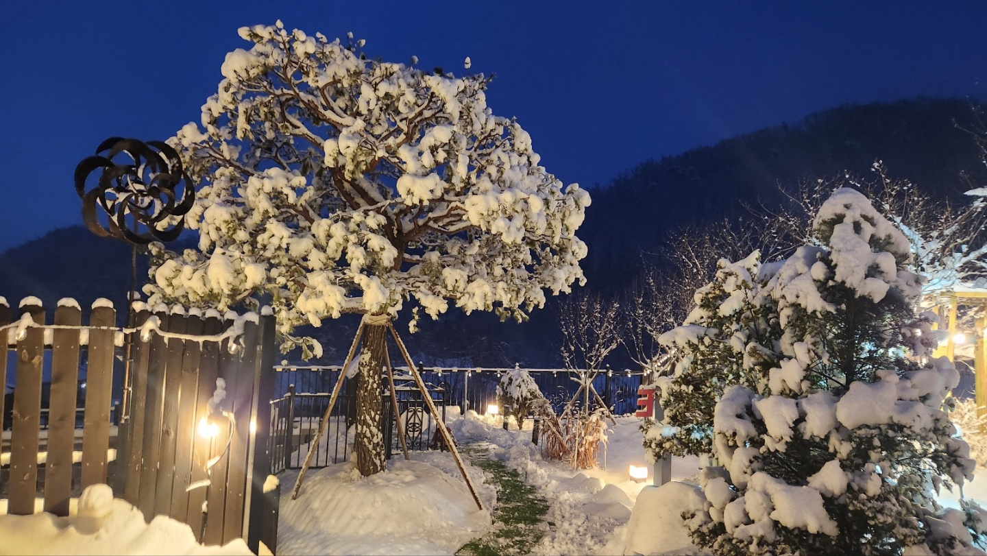 Landscape<br>온전한 삶의 회복을 위한  <br>생명을 담는 집