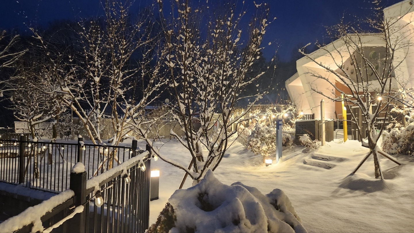 Landscape<br>온전한 삶의 회복을 위한  <br>생명을 담는 집