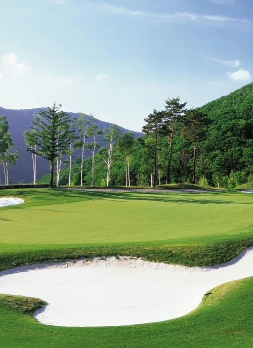 <p style="text-align: center;">   <span style="font-size: 16px; color: rgba(255,255,255,0.85);">K-Golf Academy</span> </p>  <p style="text-align: center;"><br></p>  <p style="text-align: center;">   <strong><span style="font-size: 26px; color: #FFF;">K-골프</span></strong> </p>  <p style="text-align: center;">   <strong><span style="font-size: 26px; color: #FFF;">아카데미</span></strong> </p>  <!-- 바로가기 버튼 --> <div style="text-align:center; margin-top:28px;">   <a href="https://khceogolf.com" target="_blank"      style="        display:inline-block;        padding:10px 18px;        border-radius:4px;        background:transparent;        color:rgba(255,255,255,0.85);        font-size:13px;        font-weight:500;        letter-spacing:0.04em;        text-decoration:none;        line-height:1;        border:1px solid rgba(255,255,255,0.45);        transition:all .2s ease;      "      onmouseover="        this.style.transform='translateY(-2px)';        this.style.borderColor='rgba(255,255,255,0.7)';        this.style.color='rgba(255,255,255,0.95)';      "      onmouseout="        this.style.transform='translateY(0)';        this.style.borderColor='rgba(255,255,255,0.45)';        this.style.color='rgba(255,255,255,0.85)';      "   >     바로가기 +   </a> </div>