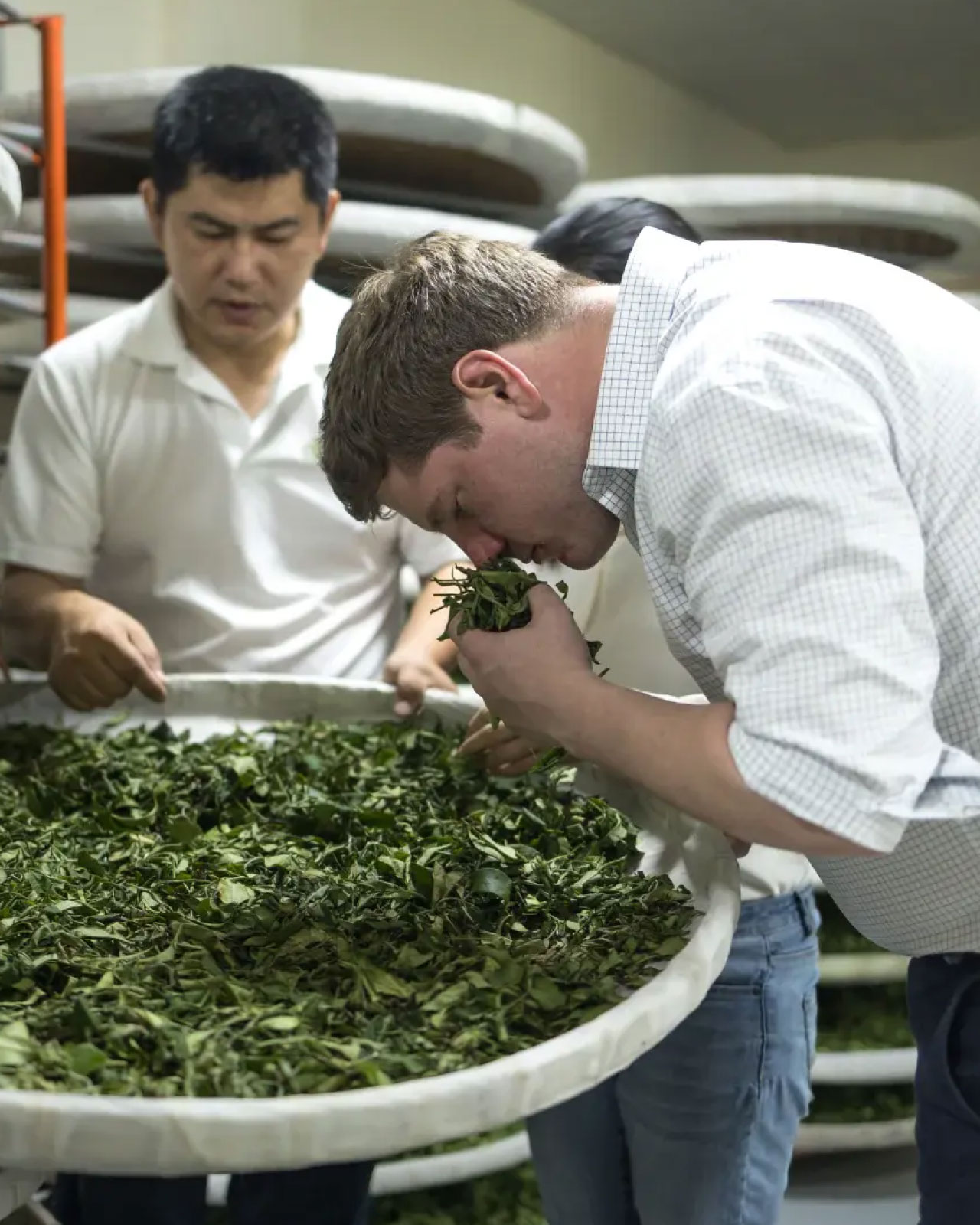 기획전 소개 이미지