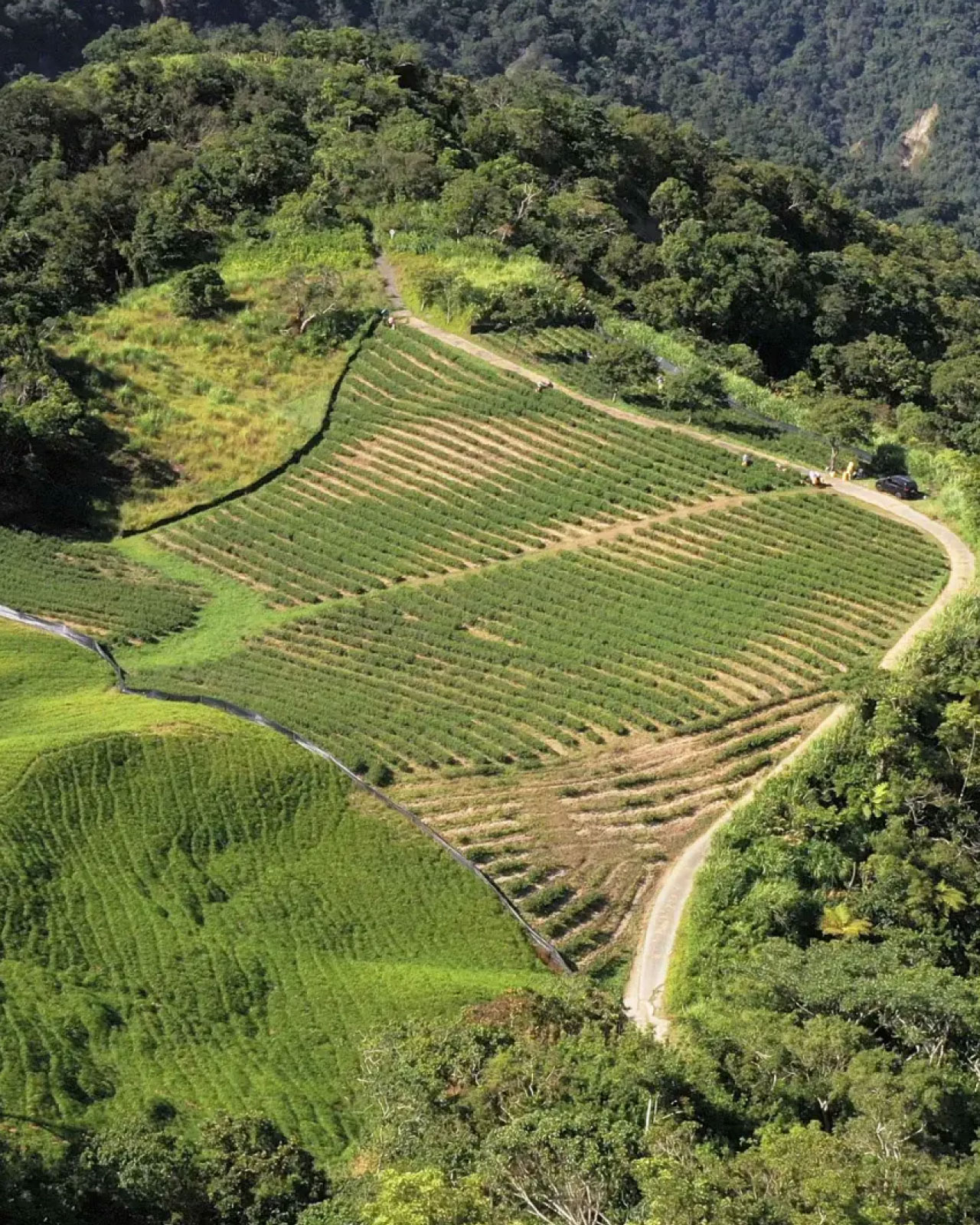 기획전 소개 이미지