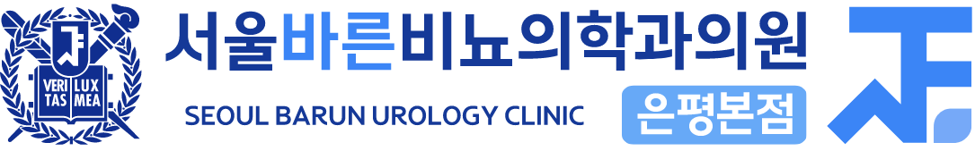 서울바른비뇨기과 은평점 - 요로결석 24시 응급치료