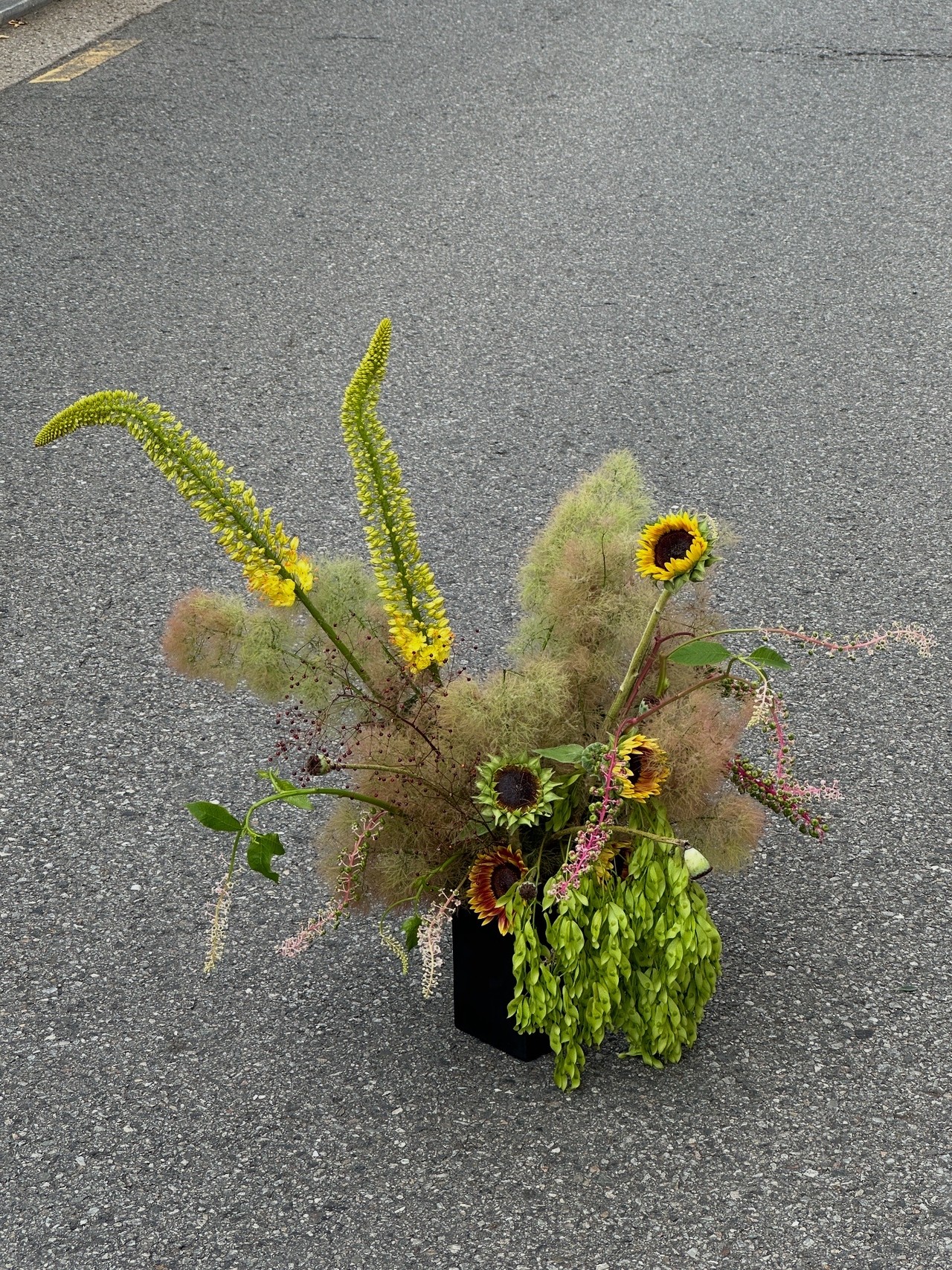 <p style="text-align:left; font-size:14px; margin-top:16px;">Order > 상품&예약 안내 <br><span style="color:#666;"></span></p>