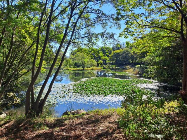 가평 자연생태공원