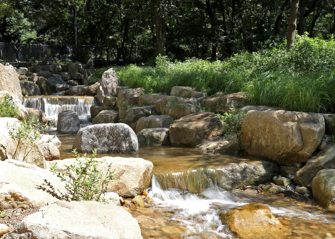시흥계곡 생태조사 및 복원계획