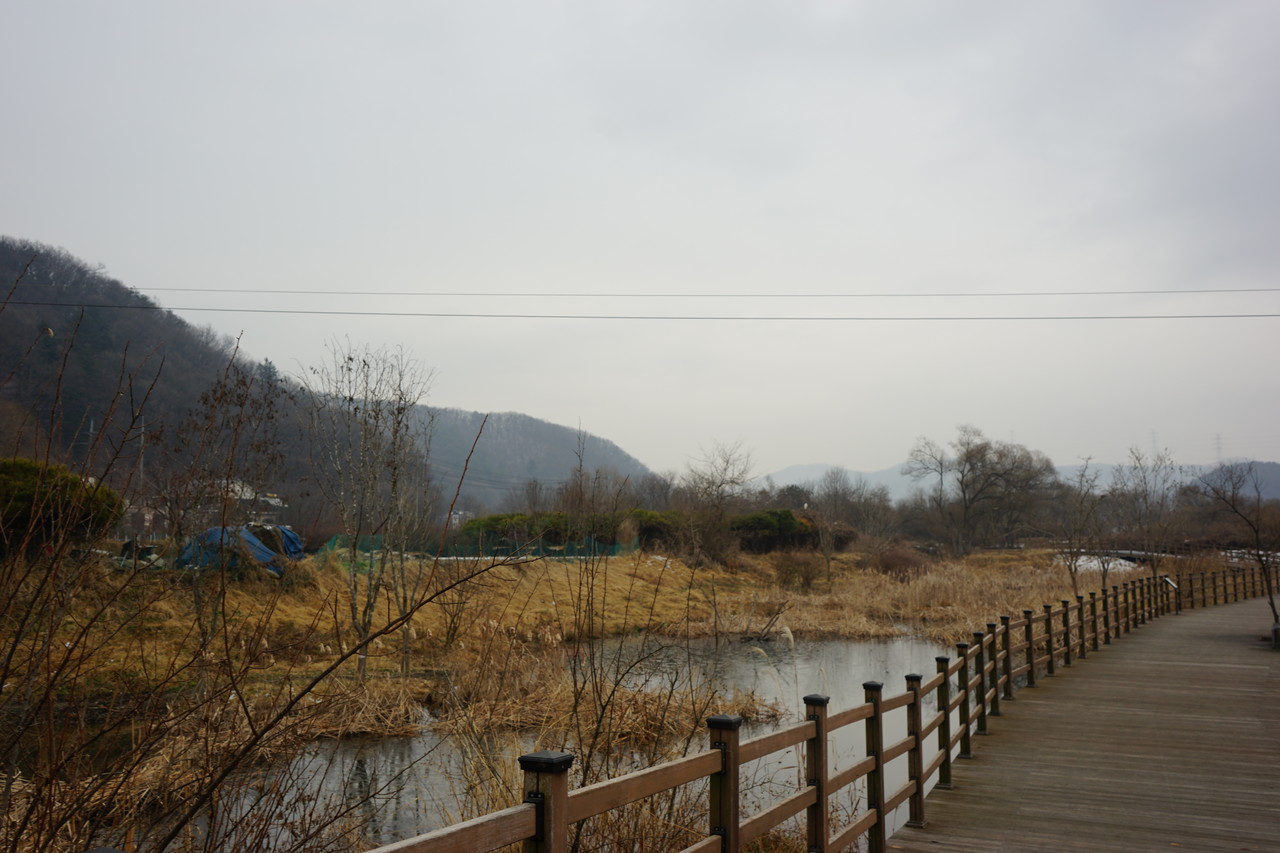 한강 수계 복원사업