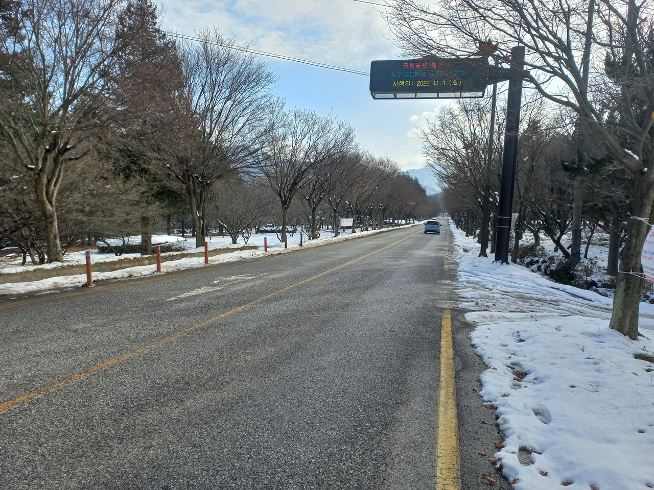 정읍 내장산자락 양서류 생태통로