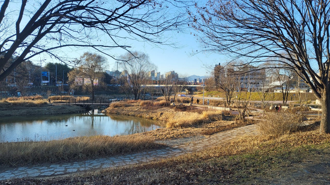 2025 춘천 생활정원