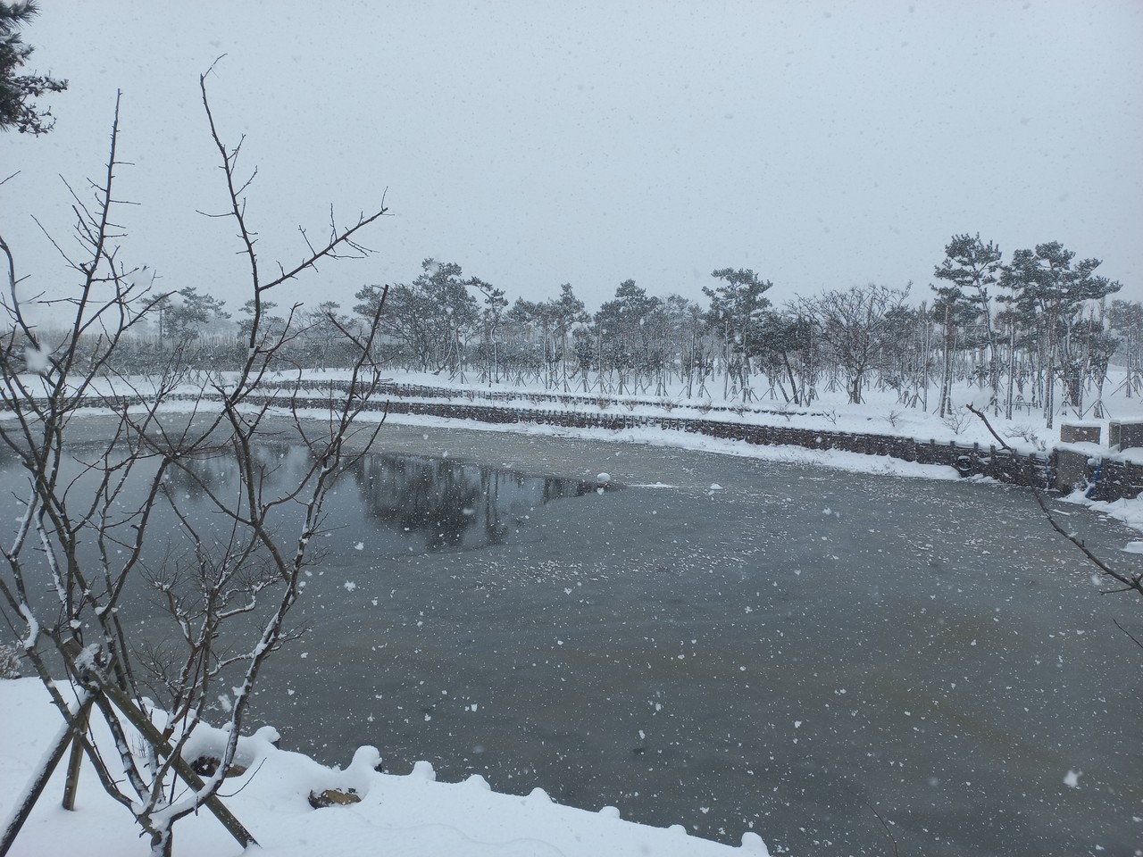 신안 자은도 멸종위기종 대체서식지