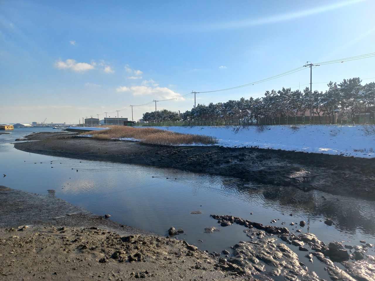 목포 철새도래지 보존 복원사업