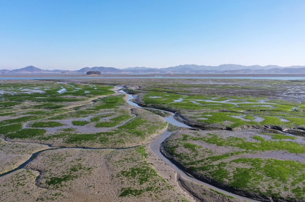 신안군 갯벌습지공원