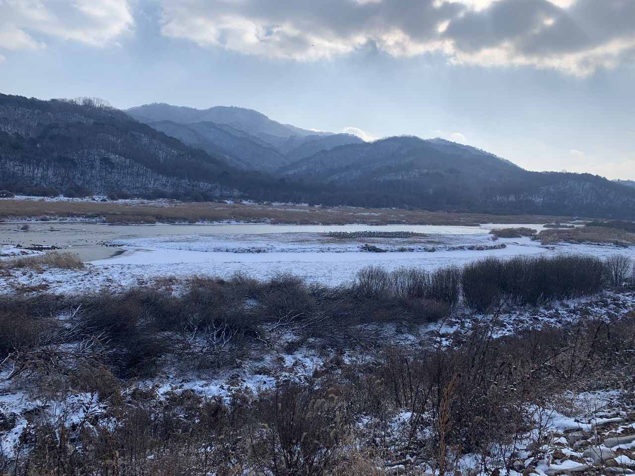 철원 두루미 철새도래지 생물다양성 증진