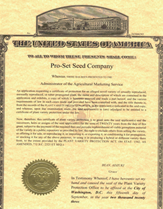 GRACE 품종 등록 인증서