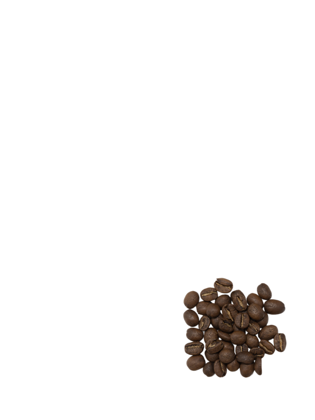<span style="font-weight:500">COFFEE →</span>