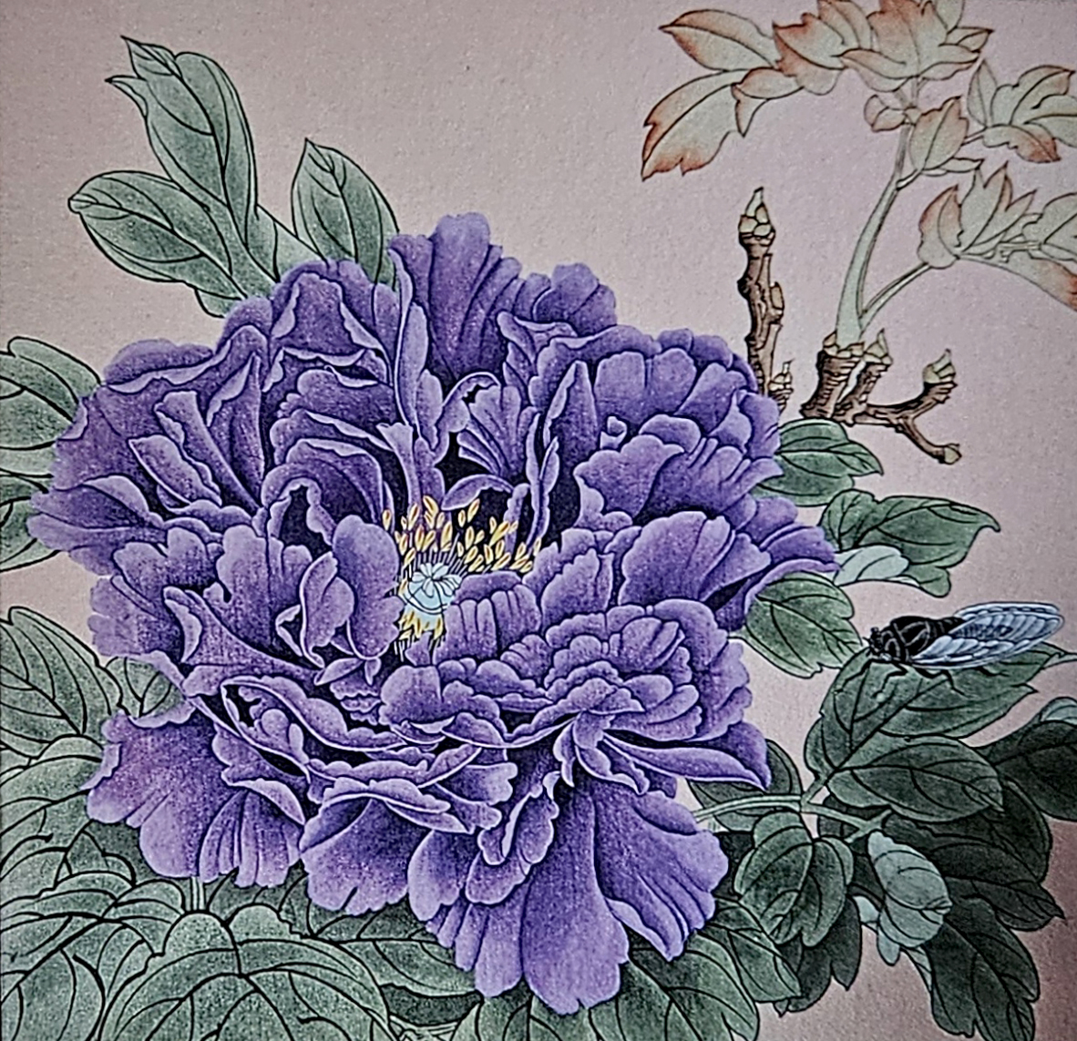 Peony, 39×39cm, Coloring on silk