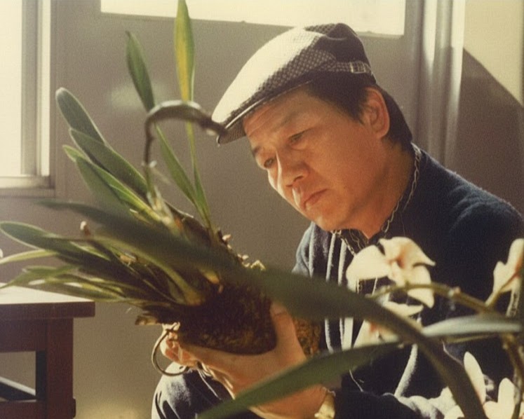 집에 마련한 온실에서