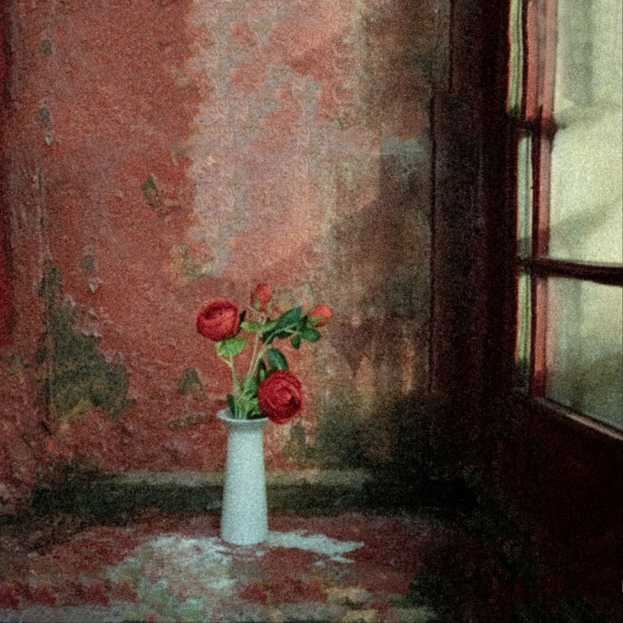 Language of the Red Rose, 40×40cm, Photo