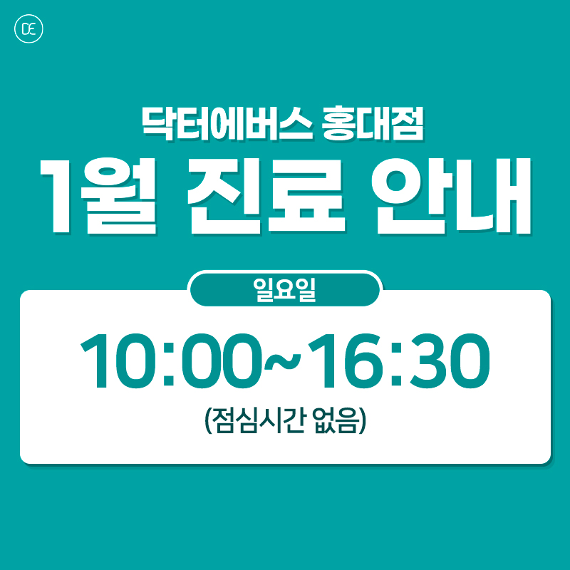 일요일진료일정