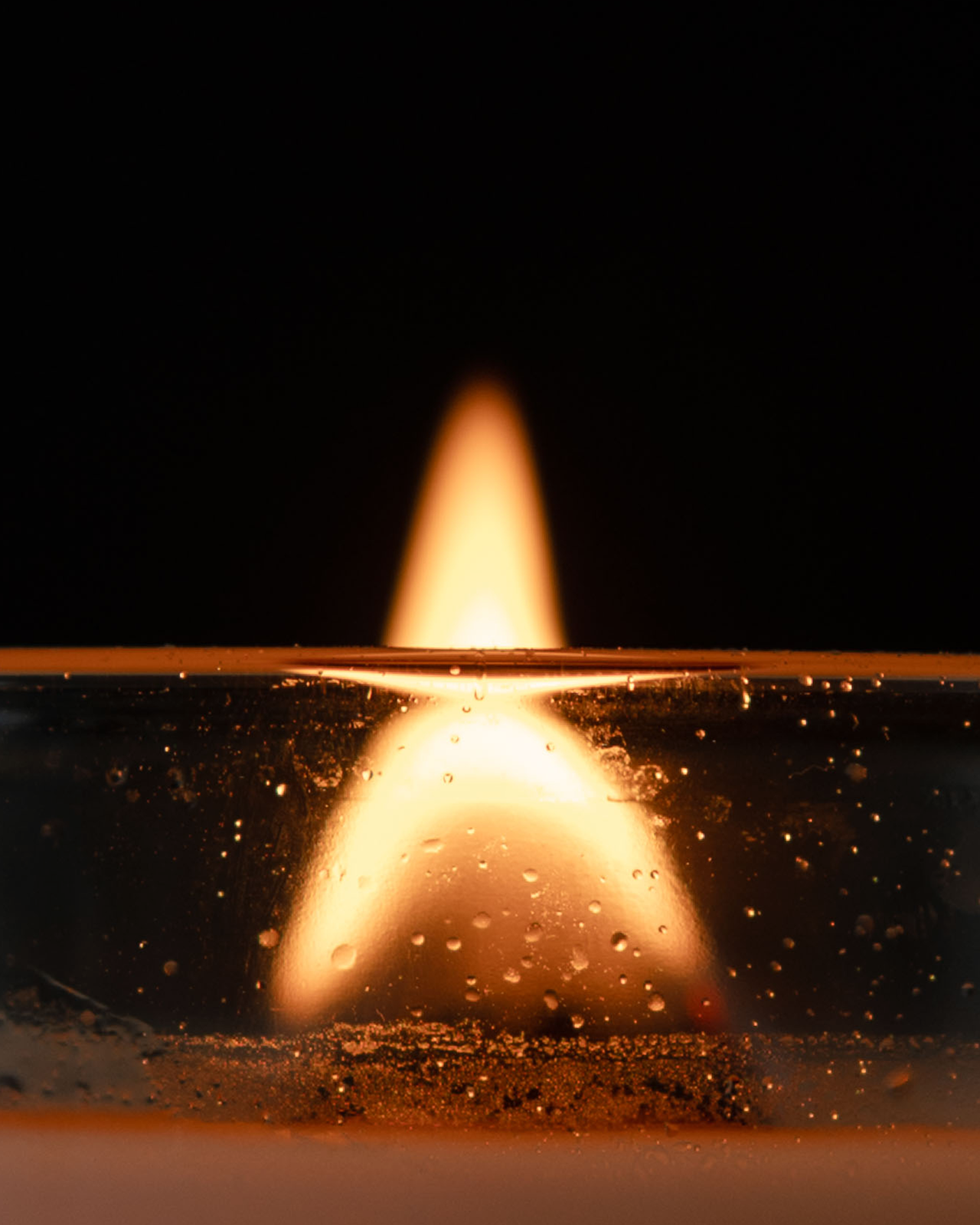 갈바넘을 메인 노트로 싱그러운 풀과 흙 냄새의 모노룸 절기 컬렉션 입춘 향수