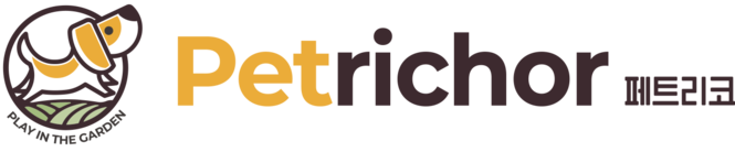 양양 페트리코펜션