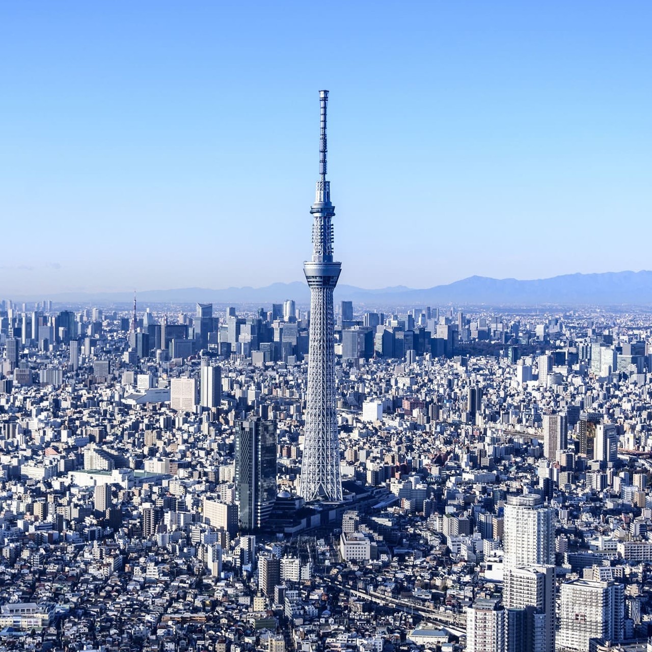 도쿄 스카이 트리