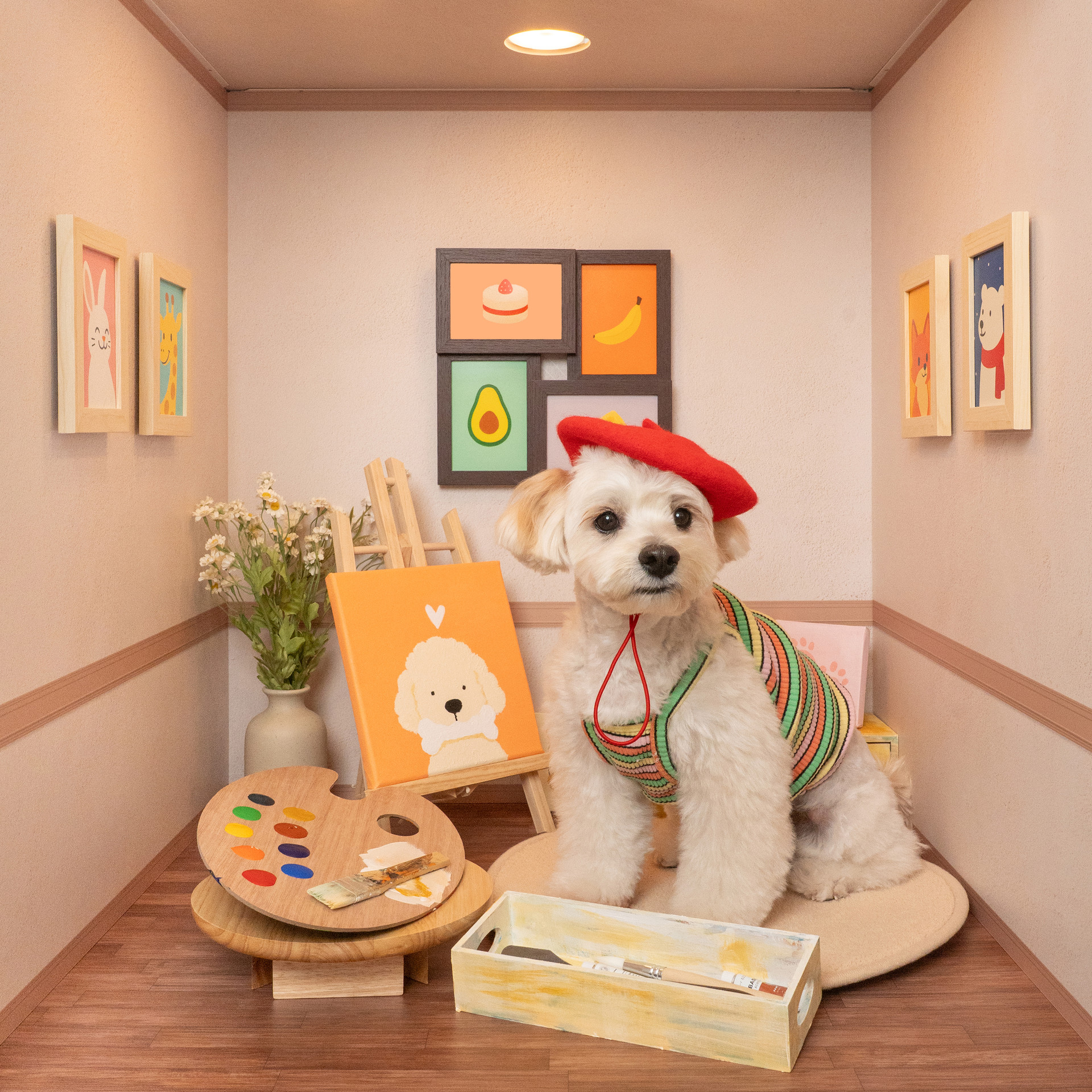 3355스튜디오 강아지 컨셉사진