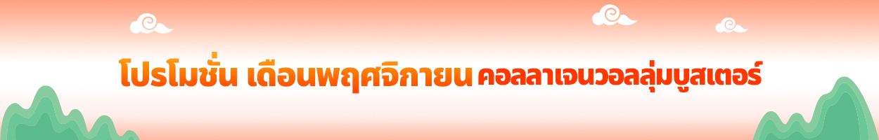 ยังไม่รวม VAT