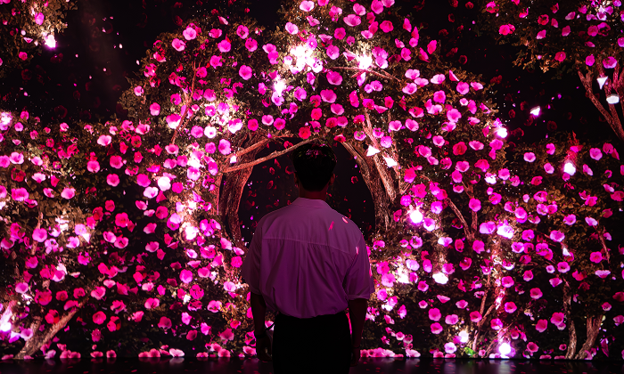 <span class="artwork-new">new</span>