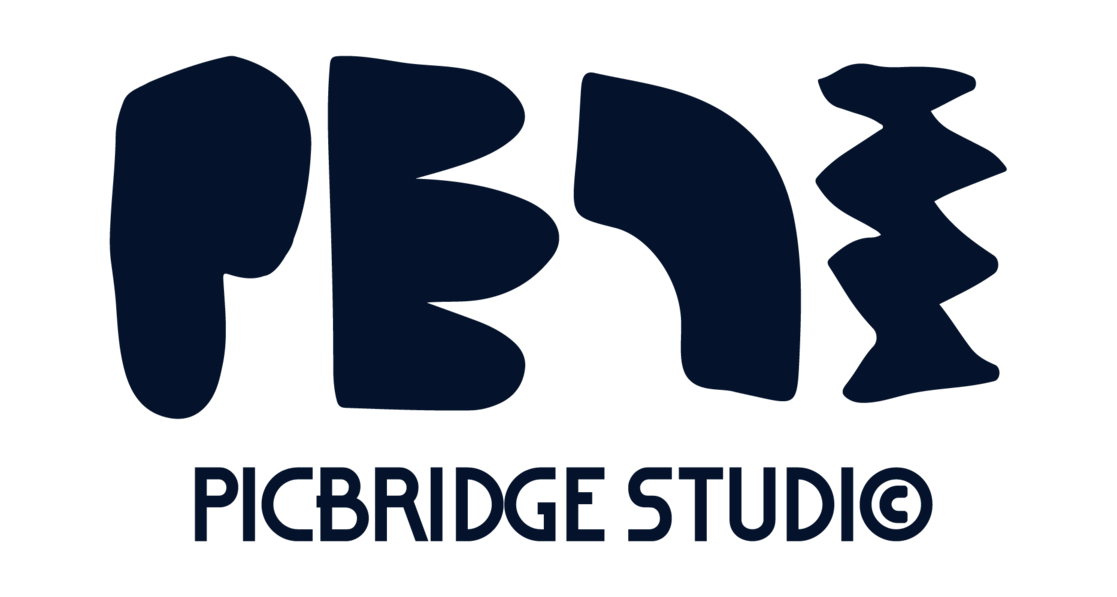 픽브릿지 스튜디오 : 재치있는 브랜딩 디자인의 모든것