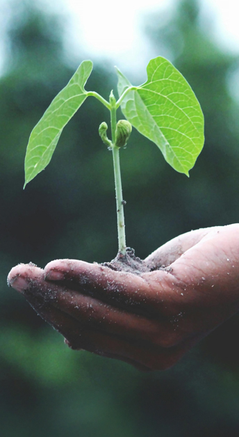 <h5 style="line-height: 0.2;"><strong>Growth PR</strong></h5><h6><i>for Startups</i></h6><p style="color:#999999">체계적인 성장이 중요한 기업의<br>생애주기에 맞춤화 된 서비스 제공