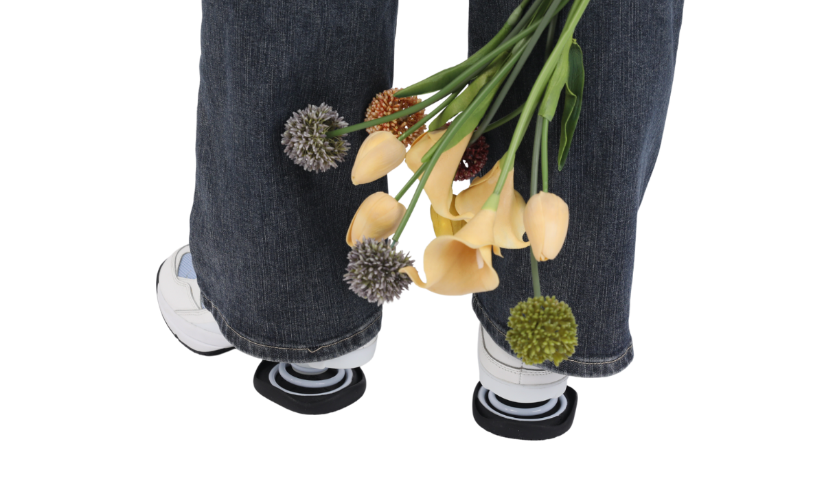 지코일, 지코일신발, zcoil, z-coil